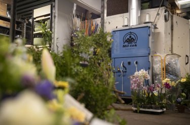 a102-blue-cardboard-plastic-baler-with-flowers-and-greens-in-foreground